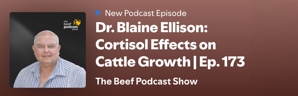 New podcast episode. Dr. Blaine Ellison: Cortisol Effects on Cattle Growth | Ep. 173. The Beef Podcast Show
