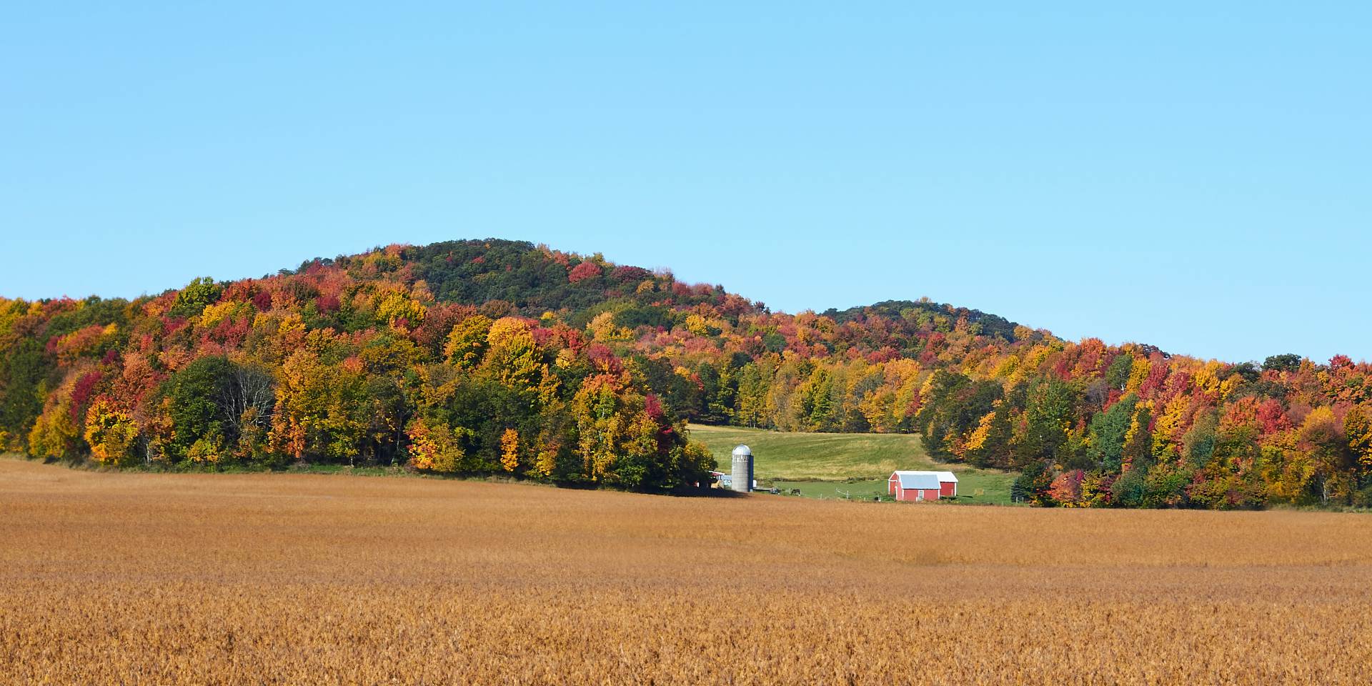 A farm in Wisconsin. Erin Larson kN2ikEEEVkw unsplash